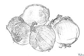 oignon Coloriages À Imprimer